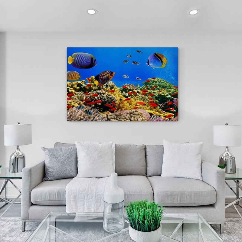 Fotografía colorida de un arrecife coralino con peces tropicales