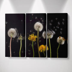 Set Dandelion Seeds - Canvas Mérida Fine Print Art