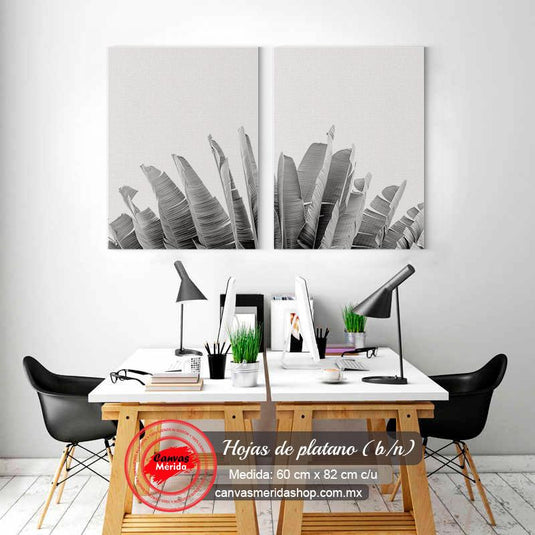 Set de 2 Cuadros Decorativos con Detalles de Hojas de Planta en Contraste Blanco y Negro
