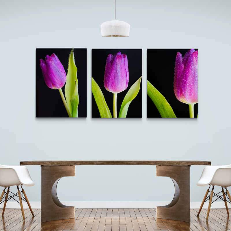 Set Tulip Bud with Raindrops - Canvas Mérida Fine Print Art