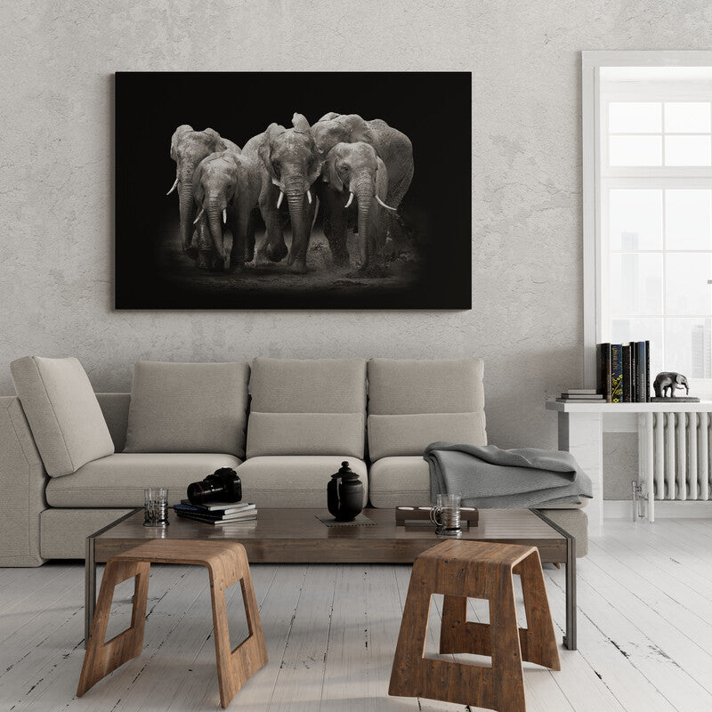Elephant on Dark - Canvas Mérida Fine Print Art