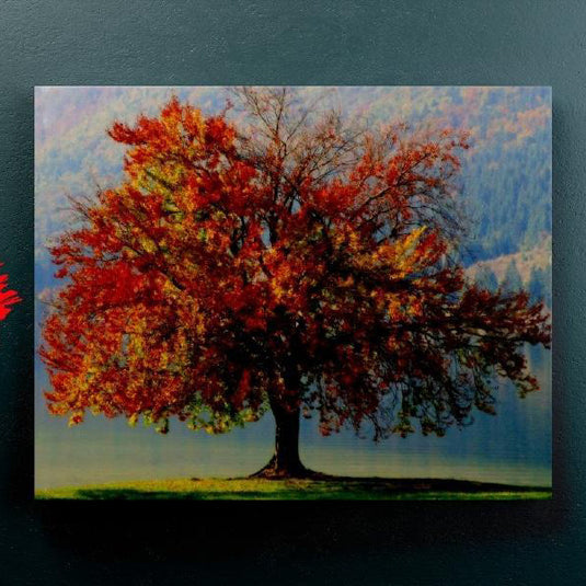 Tall Tree (Poster) (Outlet) - Canvas Mérida Fine Print Art