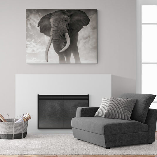 Fotografía en Blanco y Negro de Elefante