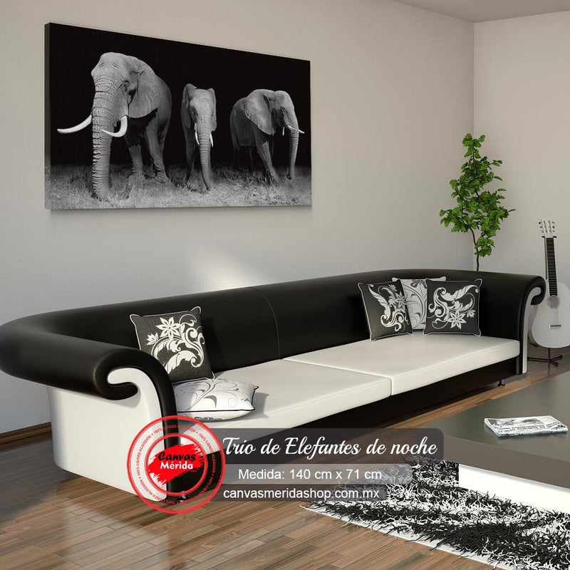 Cuadro_decorativo_tres_elefantes_majestuosos_fondo_negro