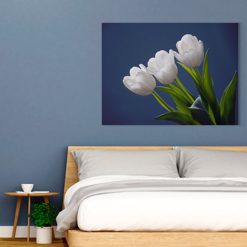 Tulipanes Blancos (Fondo Azul) - Canvas Mérida Fine Print Art