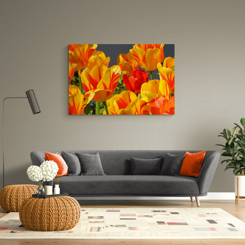 Tulip Orange-Yellow - Canvas Mérida Fine Print Art