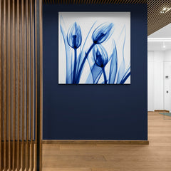 Radiografía Artística de Botones de Tulipán en Azul Monocromático