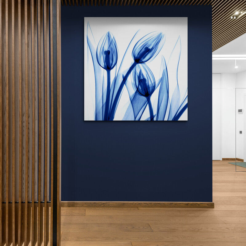 Radiografía Artística de Botones de Tulipán en Azul Monocromático