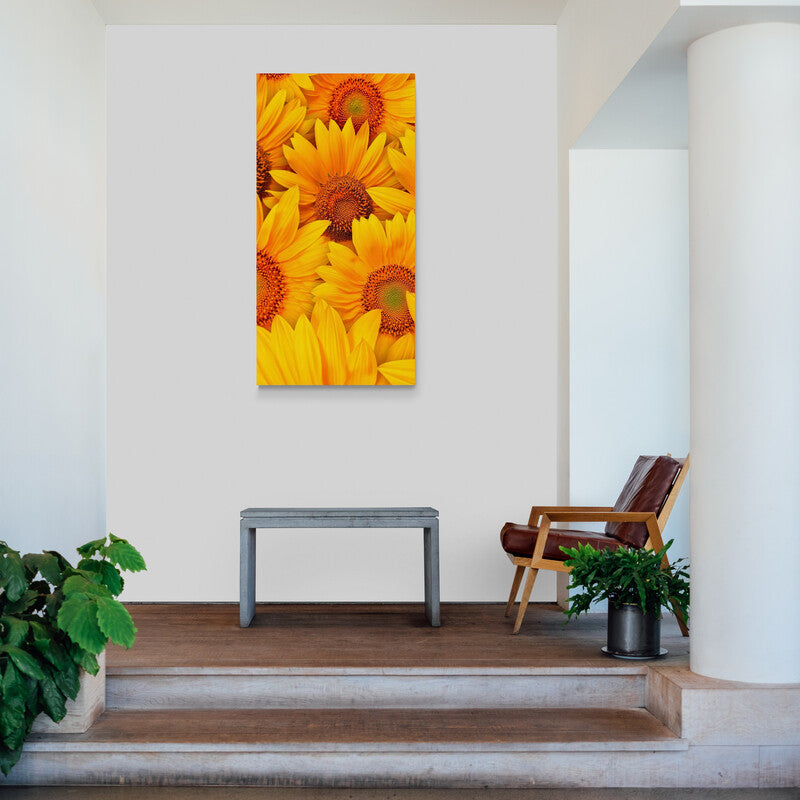 View of Sunflowers - Canvas Mérida Fine Print Art