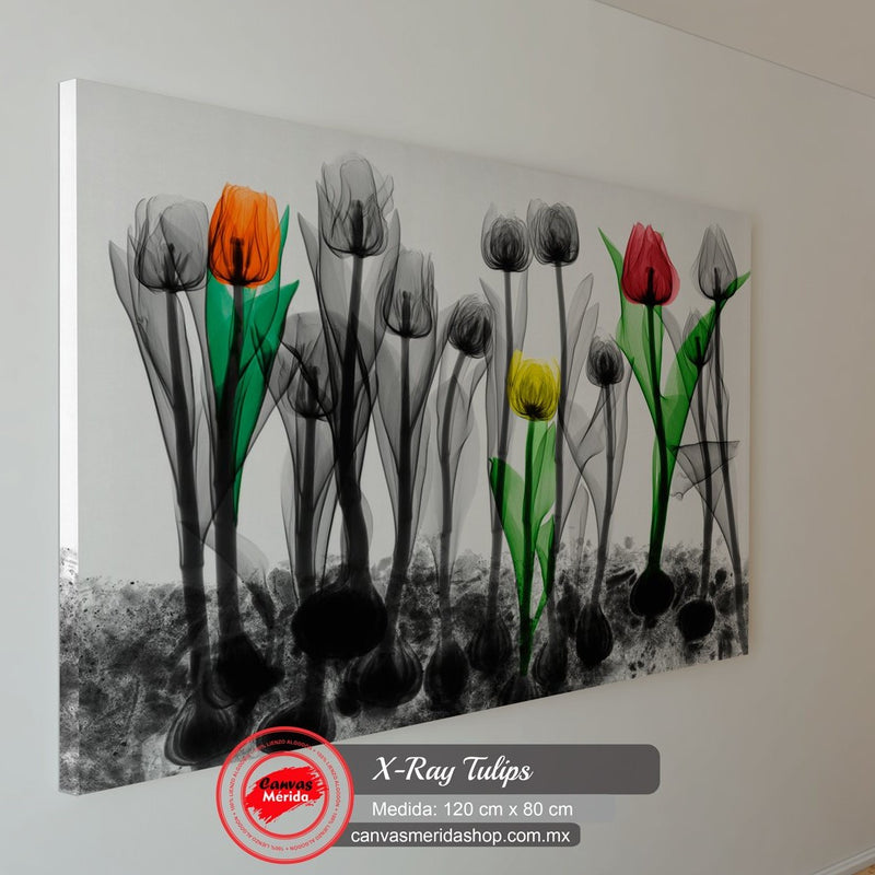 Arte de tulipanes con toques selectivos de color sobre lienzo monocromático