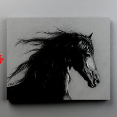 Black and White Horse - Canvas Mérida Fine Print Art