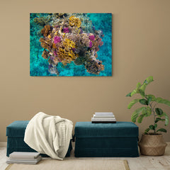 Fotografía vívida de un arrecife de coral colorido y diverso.